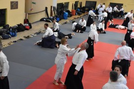 Stage_Aikido_Christian_Tissier_11-2018_0034