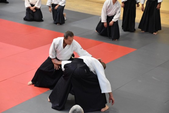 Stage_Aikido_Christian_Tissier_11-2018_0084