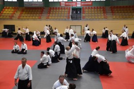 Stage_Aikido_Christian_Tissier_11-2018_0108