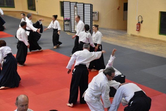 Stage_Aikido_Christian_Tissier_11-2018_0116