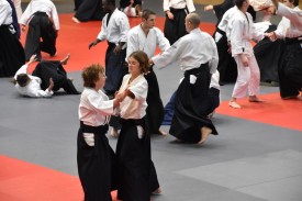 Stage_Aikido_Christian_Tissier_11-2018_0133