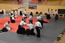 Stage_Aikido_Christian_Tissier_11-2018_0170