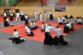 Stage_Aikido_Christian_Tissier_11-2018_0174